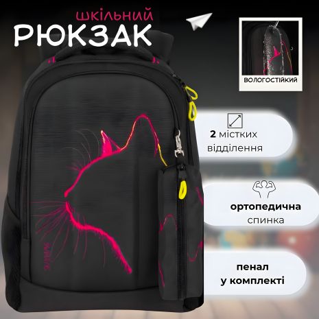 Шкільний рюкзак на 2 відділення для підлітків, пенал у комплекті