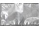 Пакети рифлені LUND 67887 YATO 67888 Пакети рифлені LUND 67887 YATO 67888