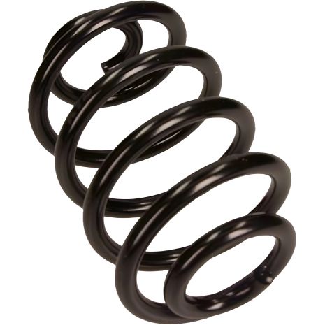 Задняя подвесочная пружина RENAULT THALIA, KAYABA (RX6965) Задняя подвесочная пружина RENAULT THALIA, KAYABA (RX6965)