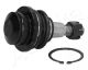 Кульова опора FORD RANGER, ASHIKA (7303334)