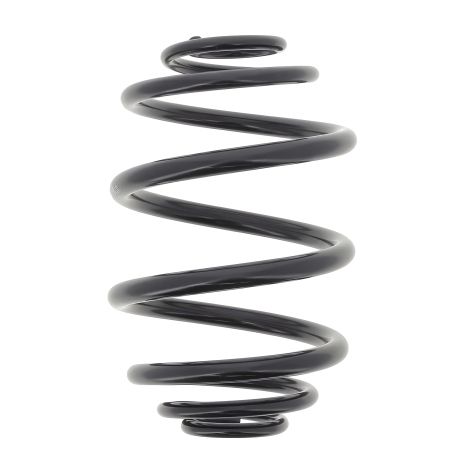 Задняя подвесочная пружина DAEWOO LANOS, KAYABA (RJ5510) Задняя подвесочная пружина DAEWOO LANOS, KAYABA (RJ5510)