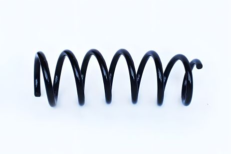 Пружина подвески задняя DACIA LOGAN, ASAM (74749) Пружина подвески задняя DACIA LOGAN, ASAM (74749)