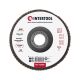 Диск шлифовальный лепестковый, 125×22 мм, зерно K80 INTERTOOL BT-0208