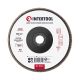 Диск шлифовальный лепестковый, 180×22 мм, зерно K120 INTERTOOL BT-0232