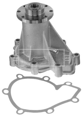 Водяной насос VW LT, DAEWOO REXTON, SSANGYONG KORANDO, BORG & BECK (BWP1232)