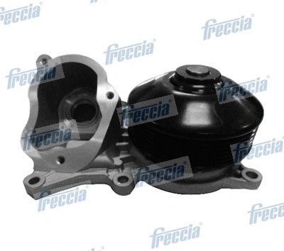 Водяний насос BMW 5, BMW 1, BMW 3, FRECCIA (WP0294)