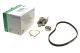 Комплект помпы и ремня ГРМ FIAT ULYSSE, CITROËN XSARA от INA (530025830) Комплект помпы и ремня ГРМ FIAT ULYSSE, CITROËN XSARA от INA (530025830)