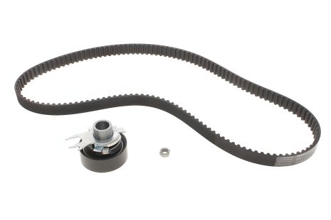 Ремкомплект ГРМ VAG 032 198 119 (INA), INA (530016710)