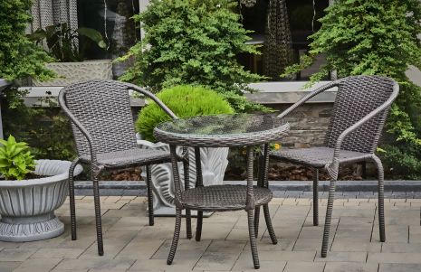 Садовий космея люкс