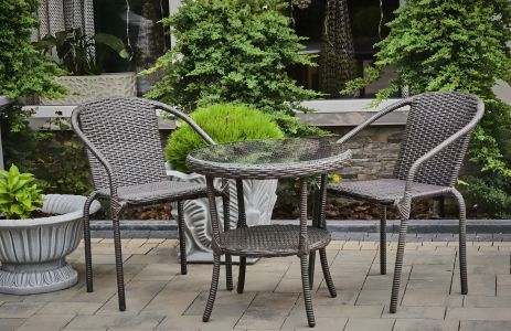 Садовий космея люкс