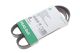 Поликлиновый ремень HYUNDAI TUCSON, MINI MINI, INA (FB6PK975) Поликлиновый ремень HYUNDAI TUCSON, MINI MINI, INA (FB6PK975)
