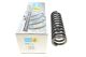 Пружина підвіски задн. MERCEDES-BENZ E-CLASS, BILSTEIN (36226009)