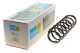 Пружина підвіски VW POLO, SKODA FABIA, SEAT IBIZA, BILSTEIN (36300075)