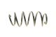 Передня пружина підвіски VW CC, Lesjofors (4095088)