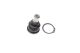 Шаровая опора NISSAN QASHQAI, BLUE PRINT (ADN186115)
