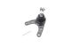 Кульова опора FORD RANGER, MAZDA B-SERIE, MAZDA MX-3, BLUE PRINT (ADM58613)