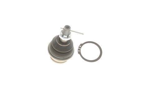 Опора кульова NISSAN PATHFINDER, NISSAN NP300, NISSAN NAVARA, BLUE PRINT (ADN186114)