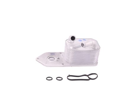 Радіатор масляний FORD TRANSIT, NRF