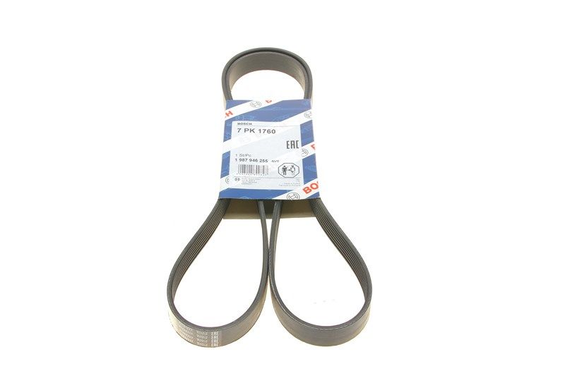 Поликлиновый ремень HONDA ACCORD, BMW 7, BOSCH (1987946255) Поликлиновый ремень HONDA ACCORD, BMW 7, BOSCH (1987946255)