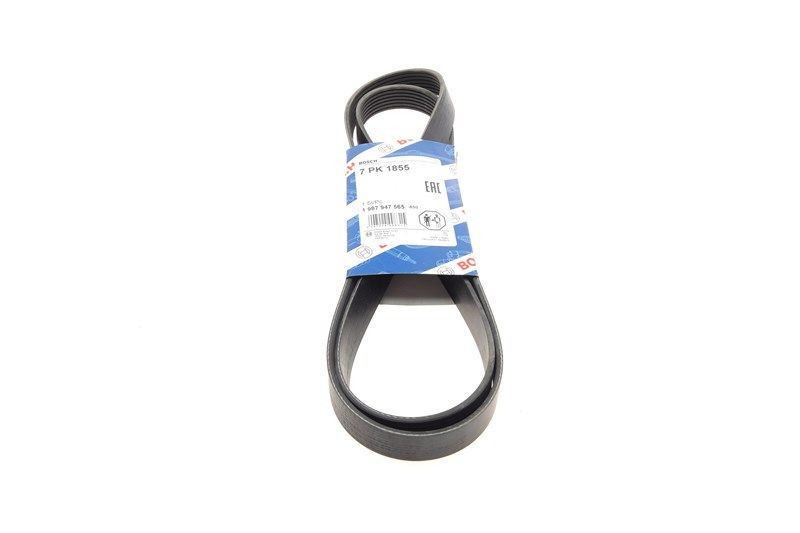 Полікліновий ремінь SUBARU LEGACY, BMW 3, BOSCH (1987947565) Полікліновий ремінь SUBARU LEGACY, BMW 3, BOSCH (1987947565)