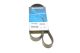Поликлиновый ремень FORD FOCUS, VOLVO V50, DAYCO (6PK1059EE)