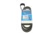 Поликлиновый ремень VW CORRADO, VOLVO V90, DAYCO (6PK1755) Поликлиновый ремень VW CORRADO, VOLVO V90, DAYCO (6PK1755)