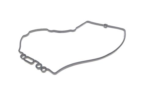 Прокладка клапанної кришки AUDI A6, VW TOUAREG, ELRING (456220)