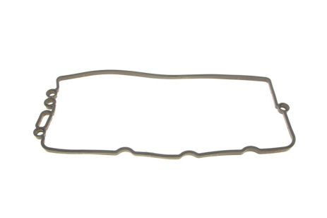 Прокладка клапанної кришки AUDI A6, VW TOUAREG, ELRING (456180) Прокладка клапанної кришки AUDI A6, VW TOUAREG, ELRING (456180)