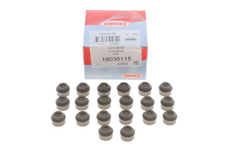 Сальник клапана (впуск/випуск) для Ford Focus/Kuga/Mondeo/S-Max 2.5 i 05-, CORTECO (19036115) Сальник клапана (впуск/випуск) для Ford Focus/Kuga/Mondeo/S-Max 2.5 i 05-, CORTECO (19036115)