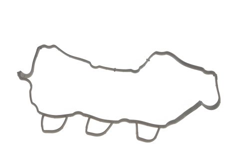 Прокладка кришки клапанної 1.5dCi Kangoo (09-), 310220 (ELRING) Прокладка кришки клапанної 1.5dCi Kangoo (09-), 310220 (ELRING)