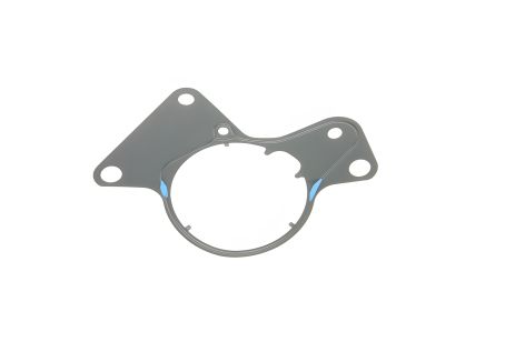 Паливного насоса прокладка VW Multivan, Touareg, Transporter 2,5 04-09, ELRING (081360)