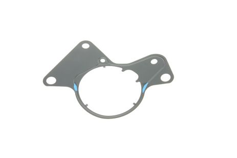 Прокладка паливного насоса VW Multivan,Touareg,Transporter 2,5 04-09, ELRING (081360)