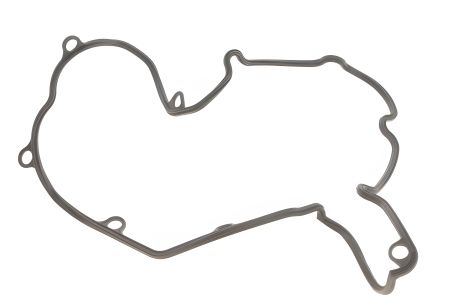 Прокладка кришки клапанної FIAT Ducato 94-06, ELRING (081540) Прокладка кришки клапанної FIAT Ducato 94-06, ELRING (081540)