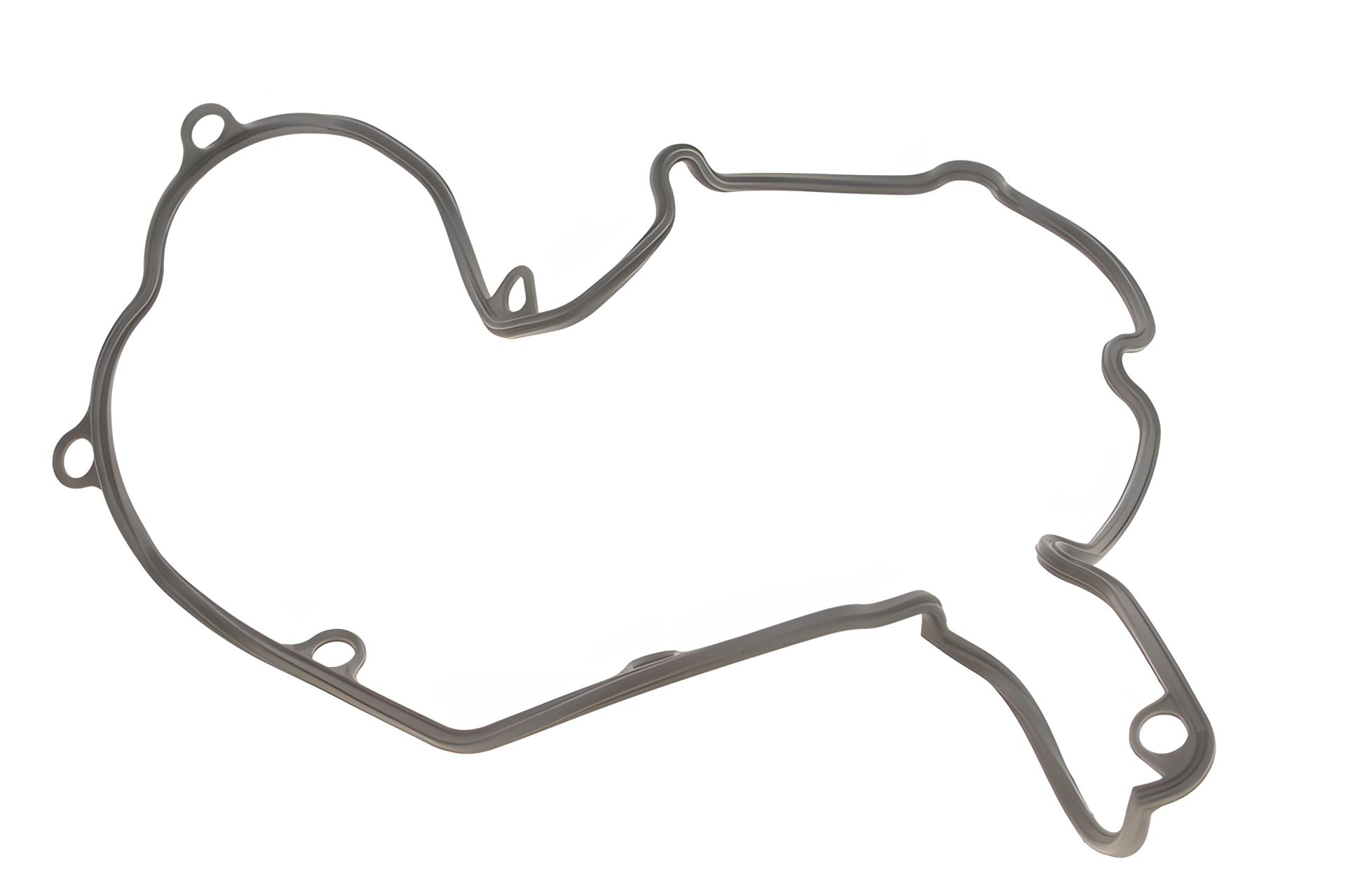 Прокладка кришки клапанної FIAT Ducato 94-06, ELRING (081540) Прокладка кришки клапанної FIAT Ducato 94-06, ELRING (081540)