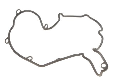 Прокладка кришки клапанної FIAT Ducato 94-06, ELRING (081540)
