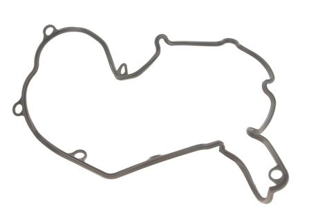 Прокладка клапанної кришки FIAT Ducato 94-06, ELRING (081540)