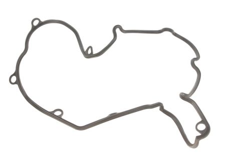 Прокладка клапанной крышки FIAT Ducato 94-06, ELRING (081540)