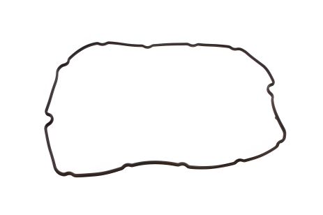 Прокладка клапанної кришки FORD Mondeo, Transit 2,4TDCi 06-, ELRING (027720)