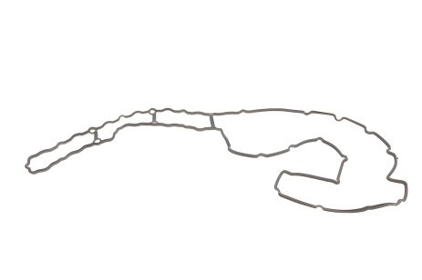 Прокладка клапанной крышки для BMW 5, ELRING (740290)