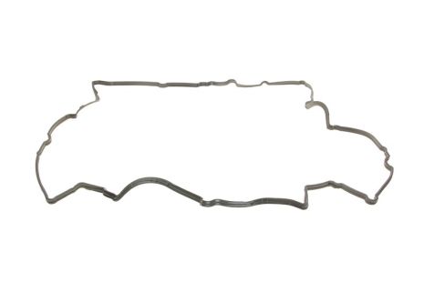 Прокладка клапанної кришки FORD AUSTRALIA, ELRING (696080)