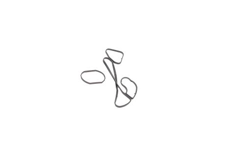 Набор прокладок масляного радиатора Audi Q5/Q7/VW Touareg 3.0 TDI 07-18, ELRING (908400)