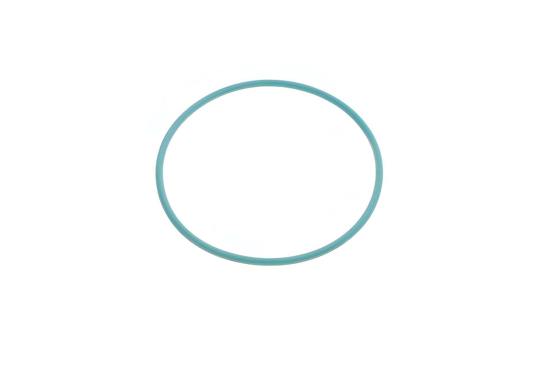 Прокладка вакуумного насоса для Audi (53x57x2) від ELRING (790000) Прокладка вакуумного насоса для Audi (53x57x2) від ELRING (790000)