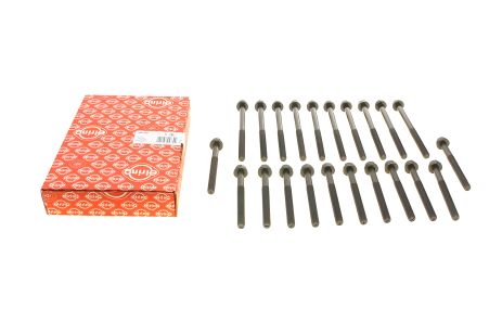 Комплект болтів ГБЦ для SANTANA PS10/ANIBAL, IVECO DAILY, ELRING (760300)