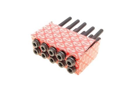 Комплект болтов ГБЦ для PUCH G-MODELL и MERCEDES-BENZ R-CLASS, от ELRING (760030) Комплект болтов ГБЦ для PUCH G-MODELL и MERCEDES-BENZ R-CLASS, от ELRING (760030)