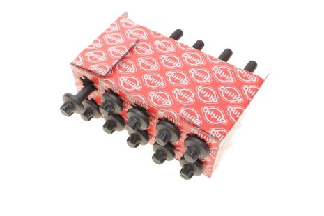 Комплект болтов ГБЦ SAN STORM, NISSAN KUBISTAR, ELRING (759350)