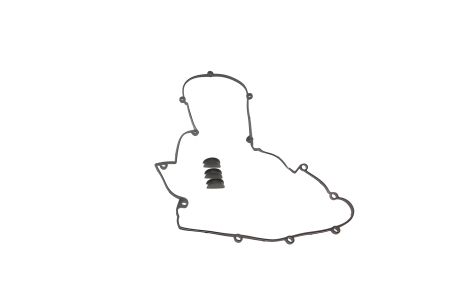 Прокладки крышки ГБЦ для NAZA CITRA, IZH ORBITA, KIA SPORTAGE, ELRING (521300) Прокладки крышки ГБЦ для NAZA CITRA, IZH ORBITA, KIA SPORTAGE, ELRING (521300)
