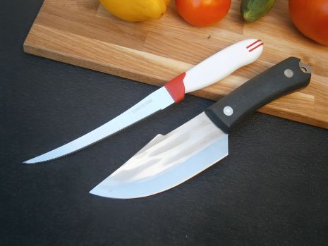 Поварской нож Sakuri Chef RT-261 фултанг 21 см + кухонный нож Tramontina W-11 20 см