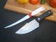 Поварской нож Sakuri Chef RT-261 фултанг 21 см + кухонный нож Tramontina W-11 20 см
