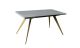 Сірий матовий обідній стіл "Стар" (1400/2000x800x750) із золотими ногами