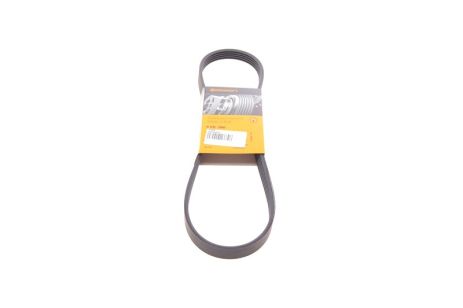 ΠΠΎΠ»ΡΠΊΠ»ΡΠ½ΠΎΠ²ΠΈΠΉ ΡΠ΅ΠΌΡΠ½Ρ OPEL AGILA, ROVER MONTEGO, CONTITECH (5PK890) ΠΠΎΠ»ΡΠΊΠ»ΡΠ½ΠΎΠ²ΠΈΠΉ ΡΠ΅ΠΌΡΠ½Ρ OPEL AGILA, ROVER MONTEGO, CONTITECH (5PK890)